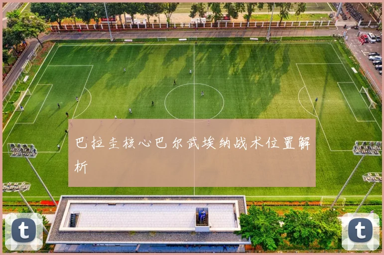 巴拉圭核心巴尔武埃纳战术位置解析