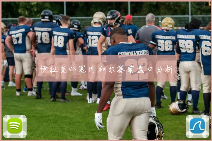 伊拉克vs塞内加尔赛前盘口分析