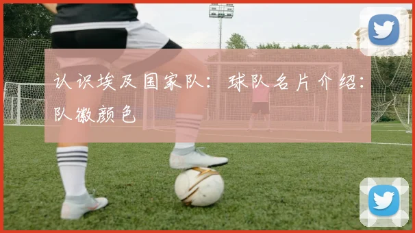 认识埃及国家队:球队名片介绍:队徽颜色