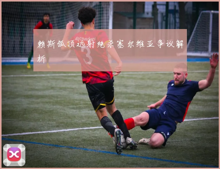 赖斯弧顶远射绝杀塞尔维亚争议解析