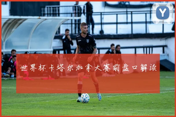 世界杯卡塔尔加拿大赛前盘口解读