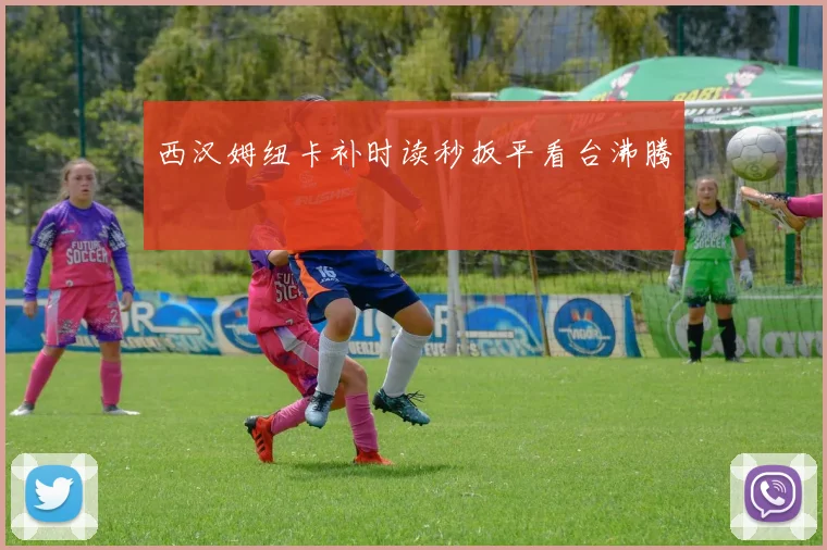 西汉姆纽卡补时读秒扳平看台沸腾