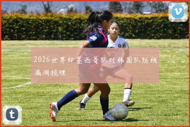 2026世界杯墨西哥队对韩国队防线漏洞梳理