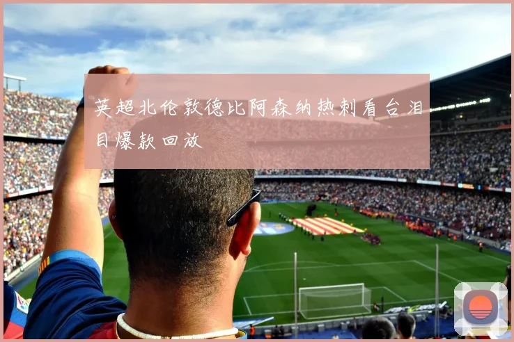 英超北伦敦德比阿森纳热刺看台泪目爆款回放