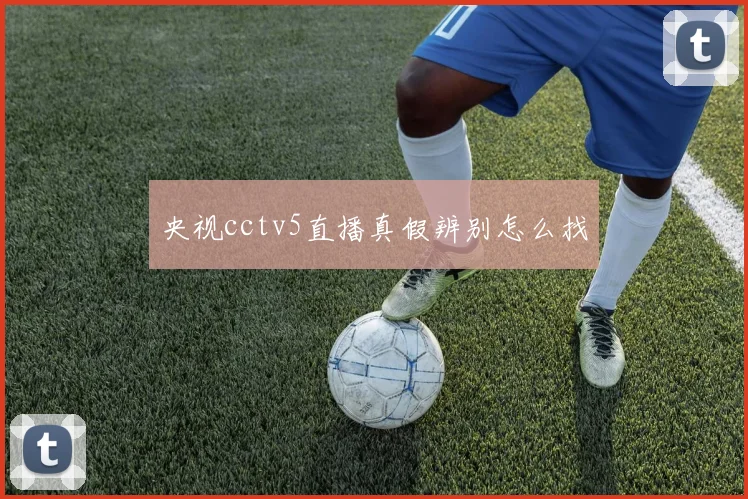 央视cctv5直播真假辨别怎么找
